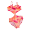 Trajes de Baño Rosa 2 Piezas