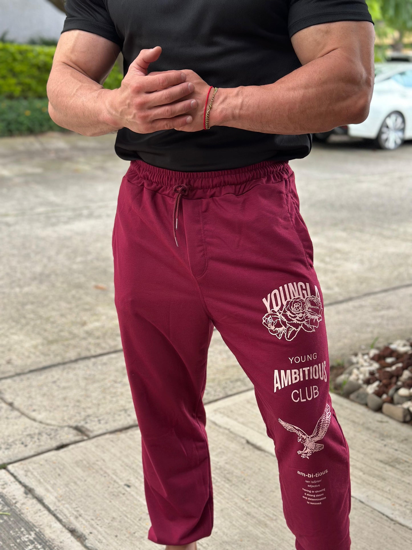 Jogger YounglA Estampado