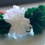 Diadema Patria