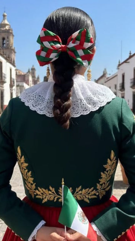 Moño Patrio Tejido