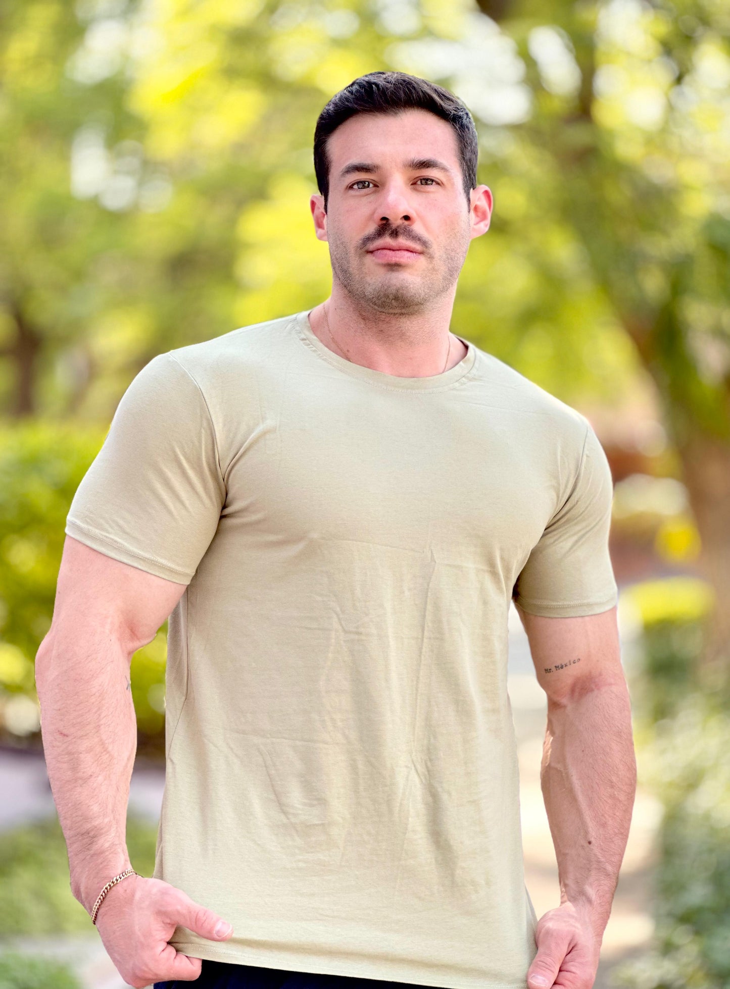 Playera Roma